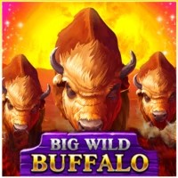 Big Wild Buffalo logo by Belatra Games at Kyngs CasinoBig Wild Buffalo